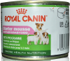 Royal Canin starter mousse